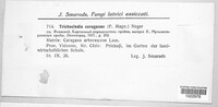 Image Associated With the Occurence